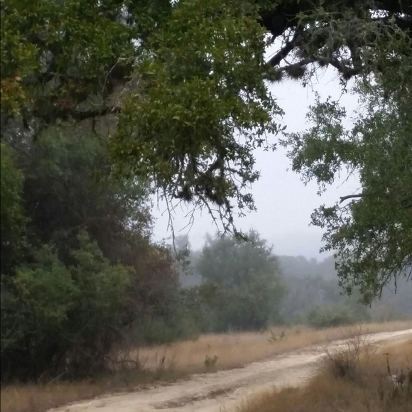 Meet your Posher, Shayla - Picture 10 of 12